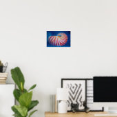 Zee Shell Poster (Thuiskantoor)