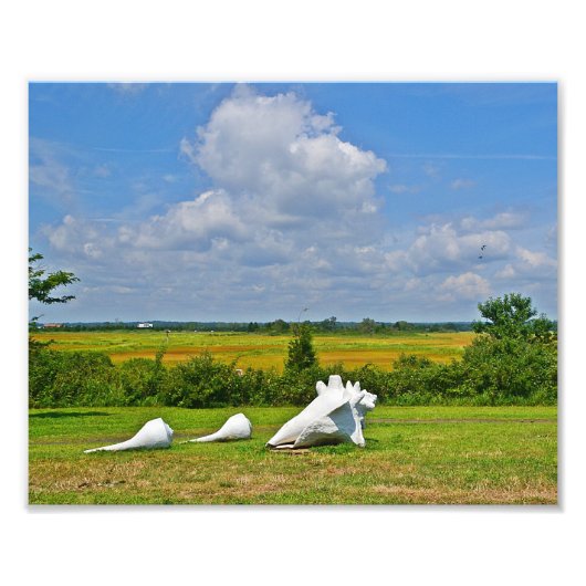 Zee Shell-scculptuur foto afdrukken (Voorkant)