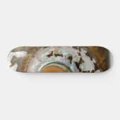 Zee Shell Skateboard (Horizontaal)