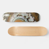 Zee Shell Skateboard (Horizontaal)