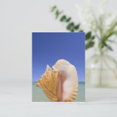 Zee Shell Sluiten Briefkaart (Staand voorkant)