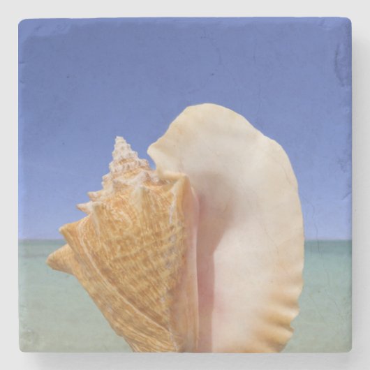 Zee Shell Sluiten Stenen Onderzetter (Voorkant)