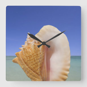 Zee Shell Sluiten Vierkante Klok