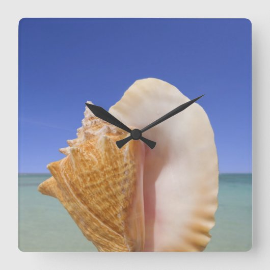 Zee Shell Sluiten Vierkante Klok (Voorkant)