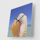 Zee Shell Sluiten Vierkante Klok (Hoek)