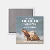 Zee Shell sparen de Magnet van de Datum (Voorkant / Achterkant)