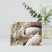 Zee Shell Starfish Background - Beach Shells Briefkaart (Staand voorkant)