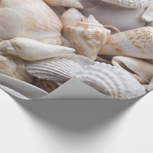Zee Shell & Starfish Background - Beach Shells Cadeaupapier (Hoek)