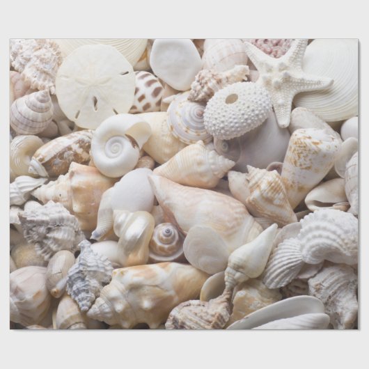 Zee Shell & Starfish Background - Beach Shells Cadeaupapier (Vlak)
