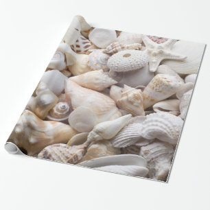 Zee Shell & Starfish Background - Beach Shells Cadeaupapier