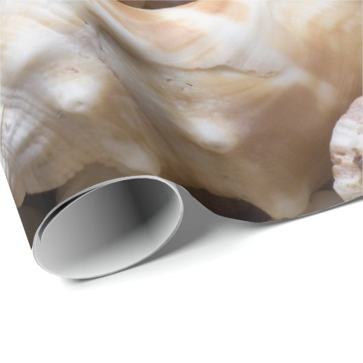 Zee Shell & Starfish Background - Beach Shells Cadeaupapier (Rol Hoek)