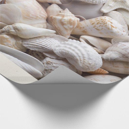 Zee Shell & Starfish Background - Beach Shells Cadeaupapier (Hoek)