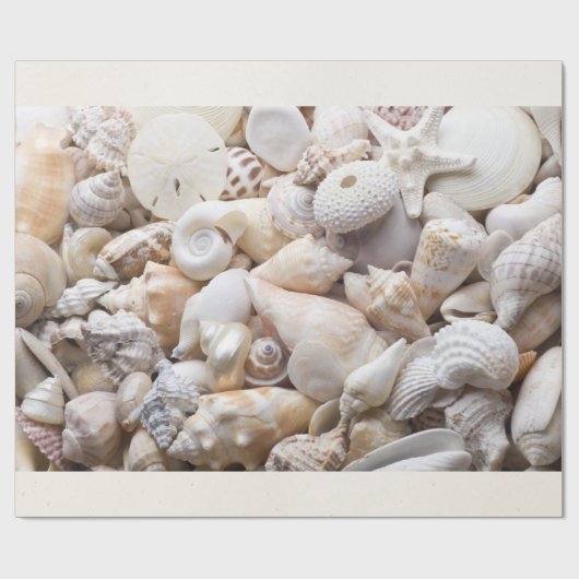 Zee Shell & Starfish Background - Beach Shells Cadeaupapier (Vlak)