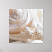 Zee Shell & Starfish Background - Beach Shells Canvas Afdruk (Voorkant)