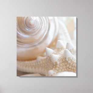 Zee Shell & Starfish Background - Beach Shells Canvas Afdruk