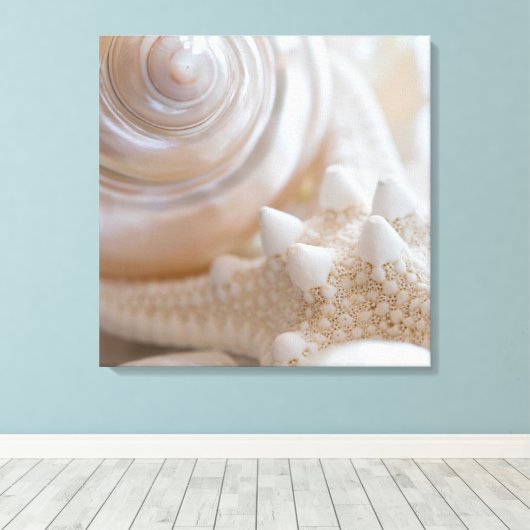 Zee Shell & Starfish Background - Beach Shells Canvas Afdruk (Insitu (Houten vloer))