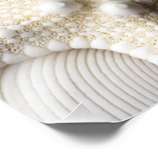 Zee Shell Starfish Background - Beach Shells Foto Afdruk (Hoek)