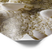 Zee Shell Starfish Background - Beach Shells Foto Afdruk (Hoek)