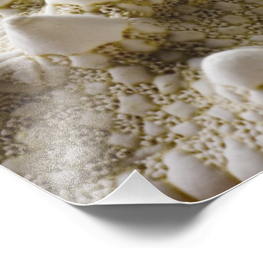 Zee Shell Starfish Background - Beach Shells Foto Afdruk (Hoek)