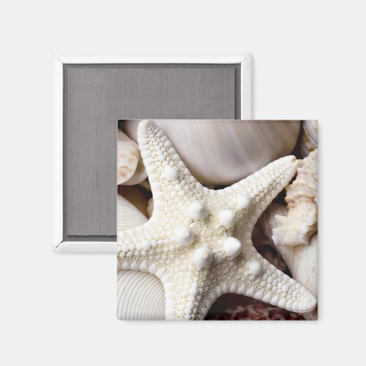 Zee Shell Starfish Background - Beach Shells Magneet (Voorkant / Achterkant)