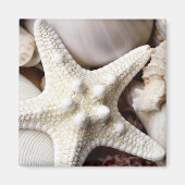 Zee Shell Starfish Background - Beach Shells Magneet (Voorkant)