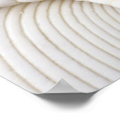 Zee Shell Starfish Background - Beach Shells Poster (Hoek)