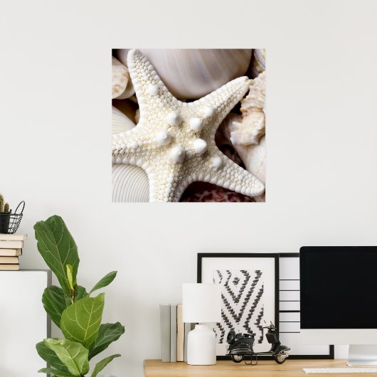Zee Shell Starfish Background - Beach Shells Poster (Thuiskantoor)
