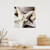 Zee Shell Starfish Background - Beach Shells Poster (Keuken)