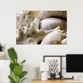 Zee Shell Starfish Background - Beach Shells Poster (Thuiskantoor)