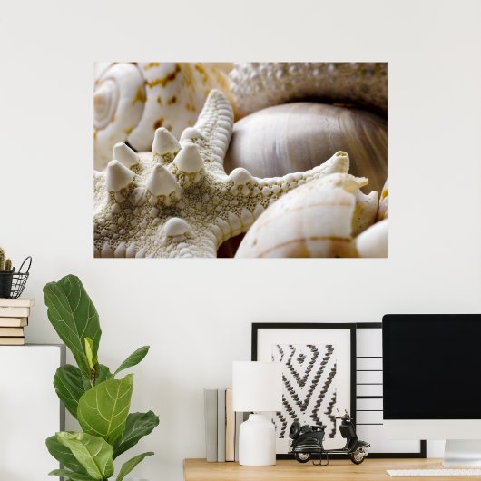 Zee Shell Starfish Background - Beach Shells Poster (Thuiskantoor)