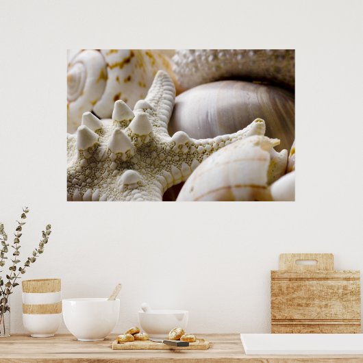 Zee Shell Starfish Background - Beach Shells Poster (Keuken)