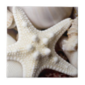 Zee Shell Starfish Background - Beach Shells Tegeltje (Voorkant)