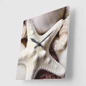 Zee Shell Starfish Background - Beach Shells Vierkante Klok (Hoek)
