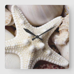 Zee Shell Starfish Background - Beach Shells Vierkante Klok