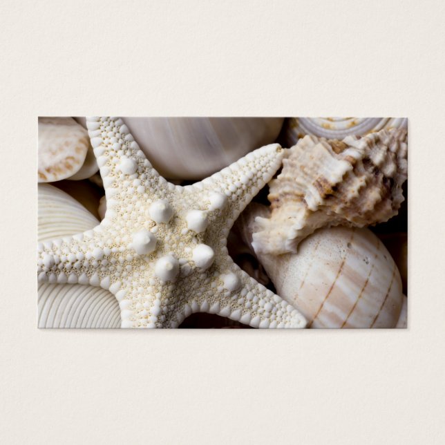 Zee Shell Starfish Background - Beach Shells Visitekaartje (Voorkant)