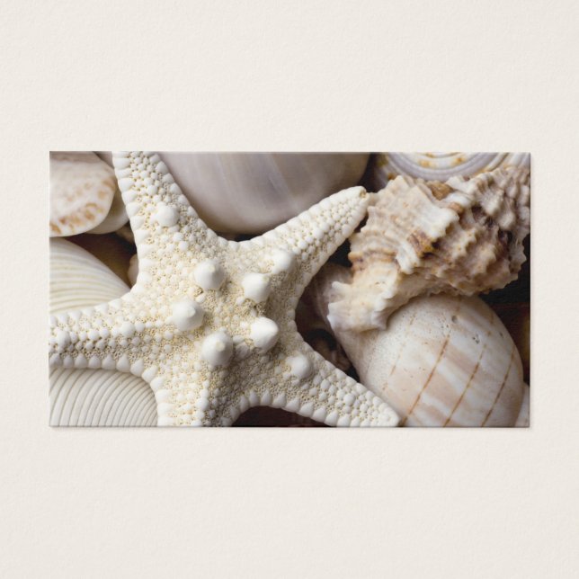Zee Shell Starfish Background - Beach Shells Visitekaartje (Voorkant)