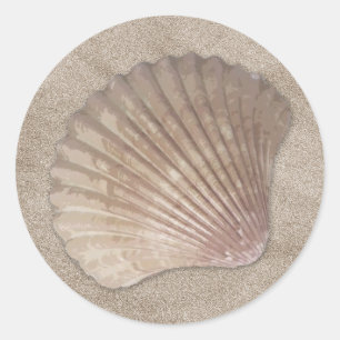 Zee Shell Stickers