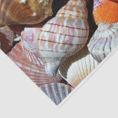 Zee Shell Tissue Paper - HAMbyWG Tissuepapier (Detail)