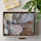 Zee Shell Tissue Paper - HAMbyWG Tissuepapier (Geschenk)