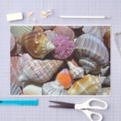 Zee Shell Tissue Paper - HAMbyWG Tissuepapier (Craft)