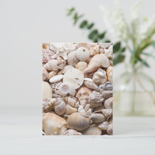 Zee Shell van Florida - Achtergrond - Aangepast ba Briefkaart (Staand voorkant)