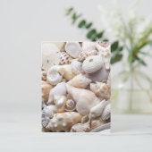 Zee Shell van Florida - Achtergrond - Aangepast ba Briefkaart (Staand voorkant)