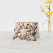 Zee Shell van Florida - Achtergrond - Aangepast ba Kaart (Gele Bloem)