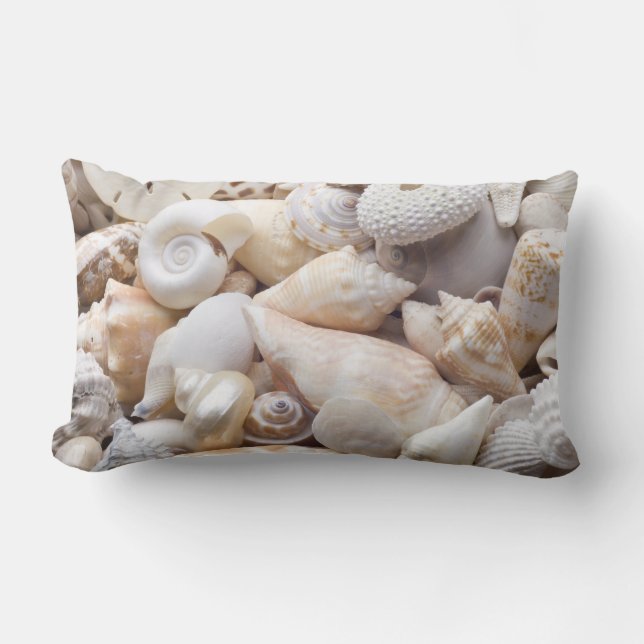 Zee Shell van Florida - Achtergrond - Aangepast ba Kussen (Voorkant)