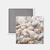 Zee Shell van Florida - Achtergrond - Aangepast ba Magneet (Voorkant / Achterkant)