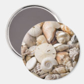 Zee Shell van Florida - Achtergrond - Aangepast ba Magneet (Voorkant / Achterkant)