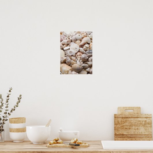 Zee Shell van Florida - Achtergrond - Aangepast ba Poster (Keuken)