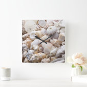 Zee Shell van Florida - Achtergrond - Aangepast ba Vierkante Klok (Huis)