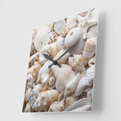 Zee Shell van Florida - Achtergrond - Aangepast ba Vierkante Klok (Hoek)