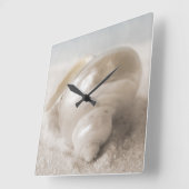 Zee Shell van Florida - Achtergrond - Aangepast ba Vierkante Klok (Hoek)